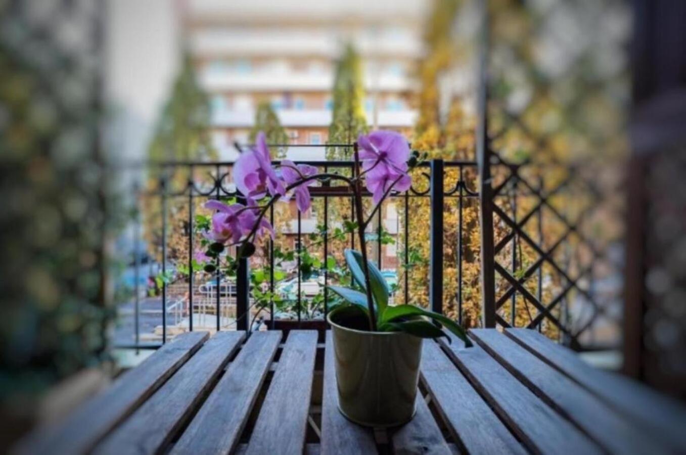Apartment Casina Del Sud *